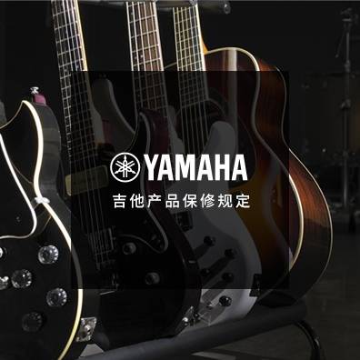 吉他、贝斯和音箱