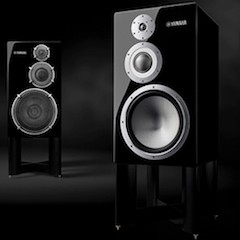 获奖信息: CA88旗舰Hi-End书架音箱NS-5000斩获2018 iF产品设计奖